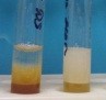 Рис. 16 - Продукция грибами биосурфактантов в процессе деградации гидрофобных поллютантов