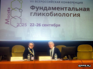 Сотрудники ИБФРМ РАН приняли участие во Всероссийской конференции "Фундаментальная гликобиология"