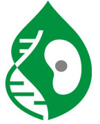 IV Всероссийская конференция с международным участием «Механизмы адаптации микроорганизмов к различным условиям среды обитания» MICRAD-2026, г. Иркутск, 24 - 29 августа 2026 г.